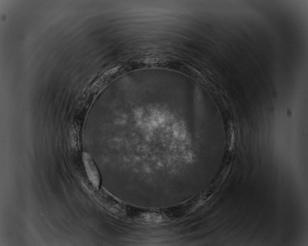 X0000051890272200507020103