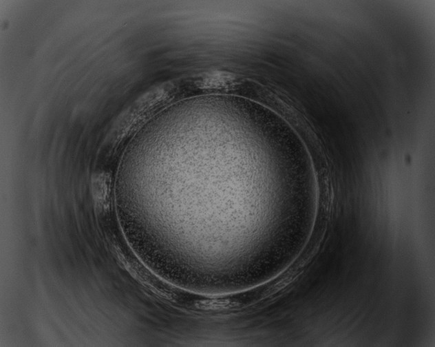 X0000051890273200507020103