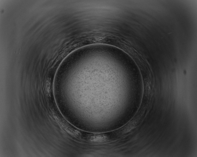 X0000051890274200507020103