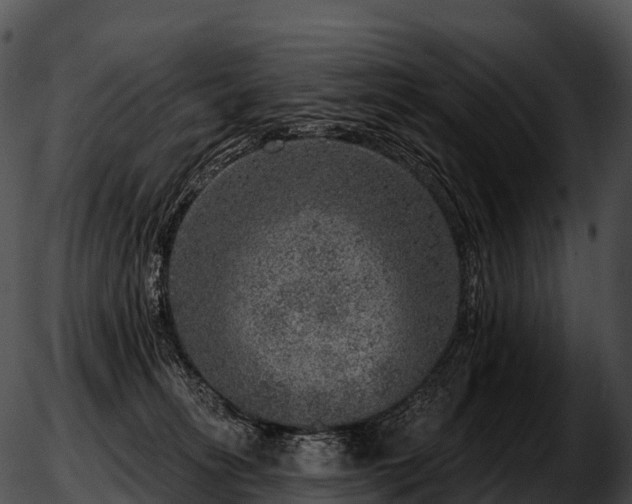 X0000051890275200507020103