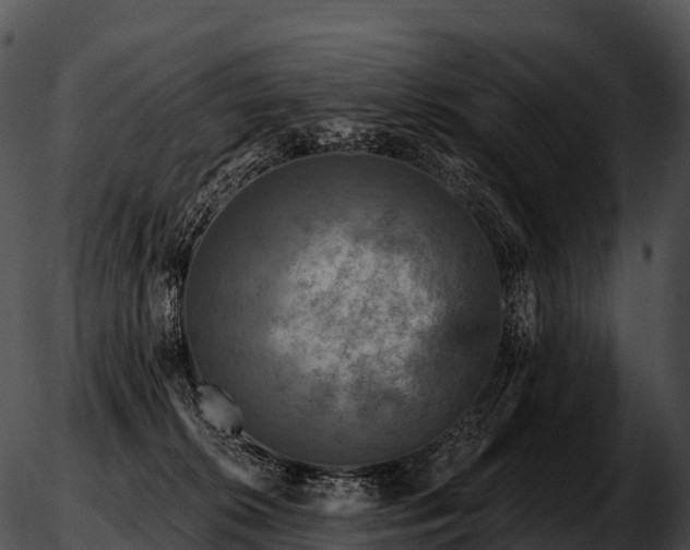 X0000051890276200507020103