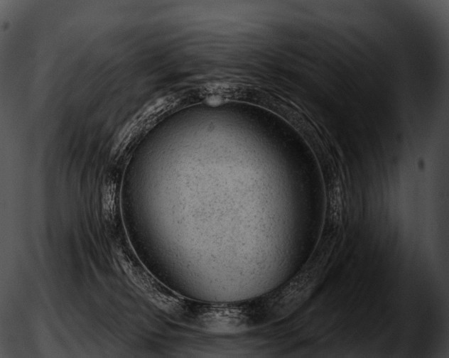 X0000051890278200507020103