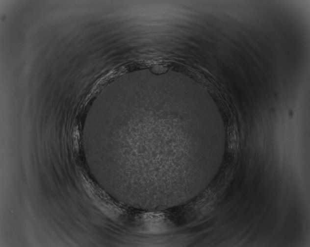 X0000051890279200507020103