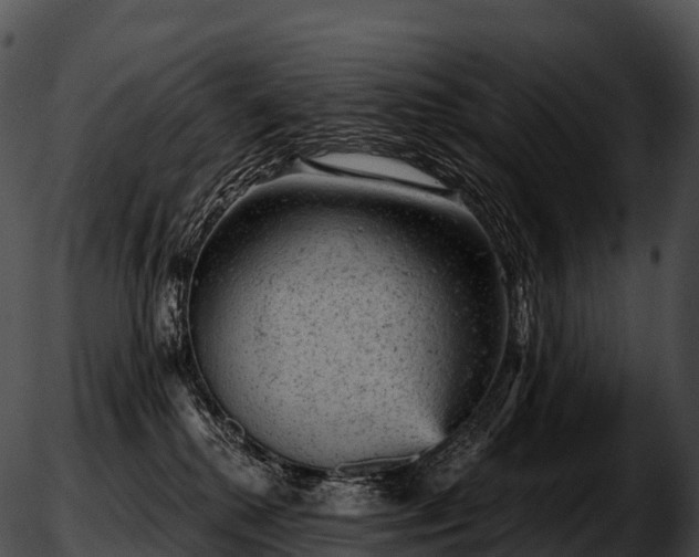 X0000051890280200507020103