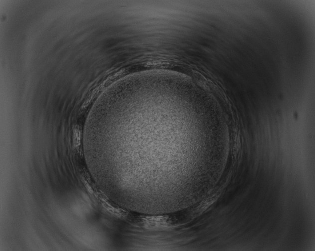 X0000051890281200507020103