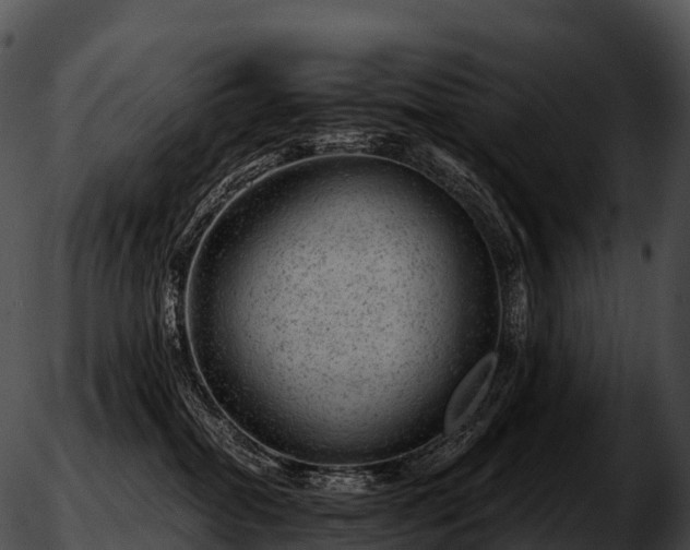 X0000051890282200507020103