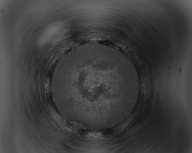 X0000051890283200507020103