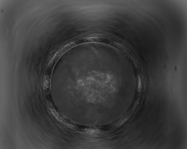 X0000051890284200507020103