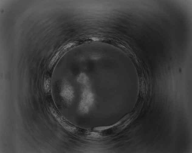 X0000051890285200507020103