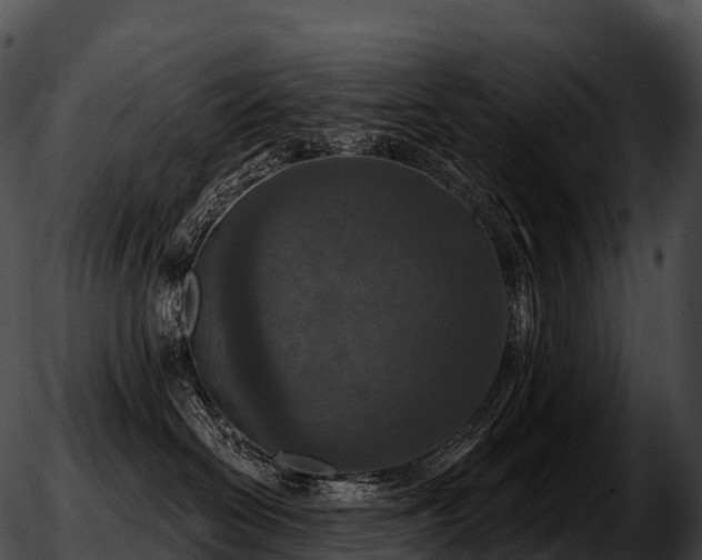 X0000051890286200507020103