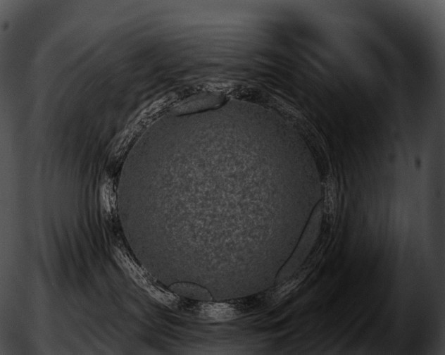 X0000051890287200507020103