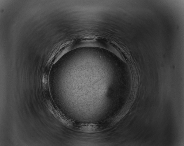 X0000051890288200507020103