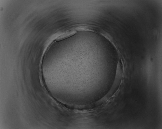 X0000051890289200507020103