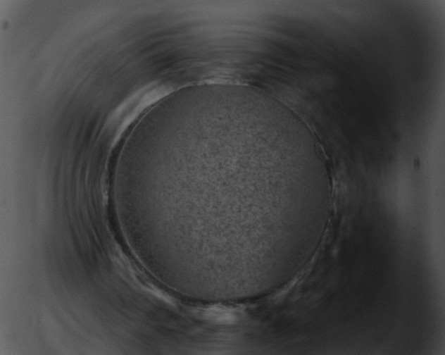 X0000051890290200507020103