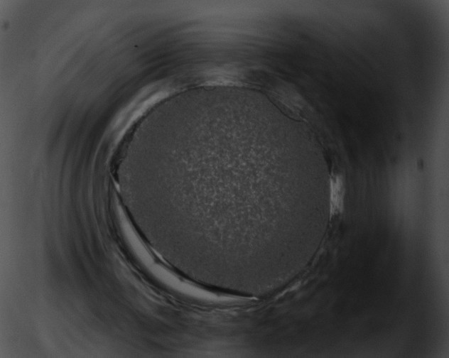 X0000051890291200507020103