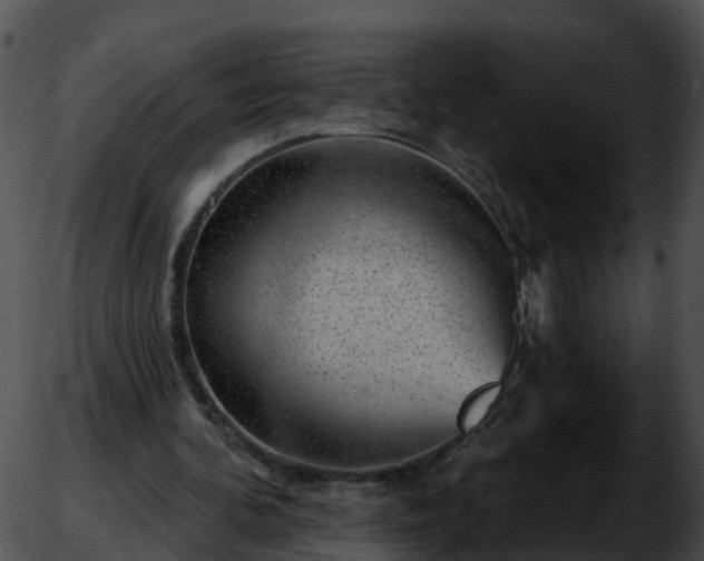 X0000051890292200507020103