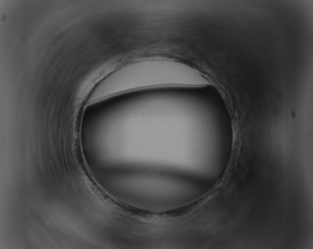 X0000051890293200507020103