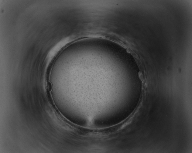 X0000051890294200507020103