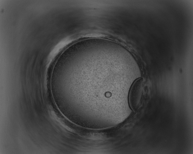 X0000051890296200507020103