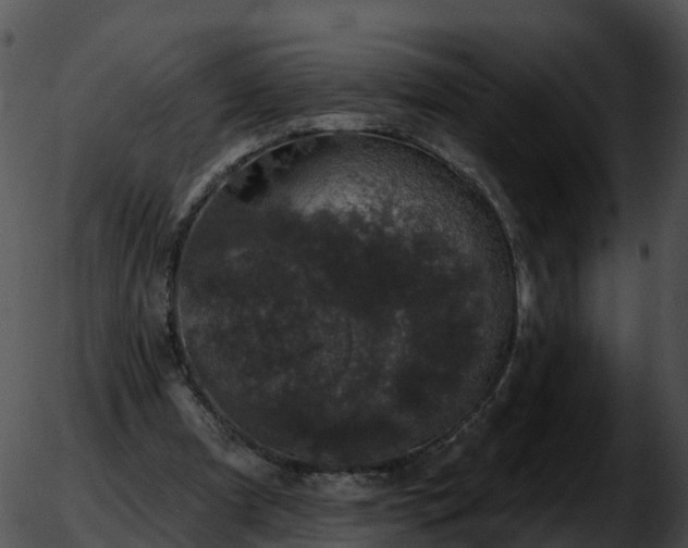 X0000051890297200507020103