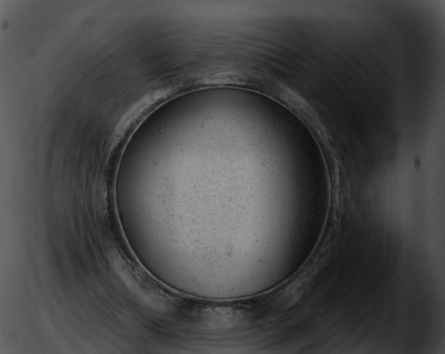 X0000051890298200507020102