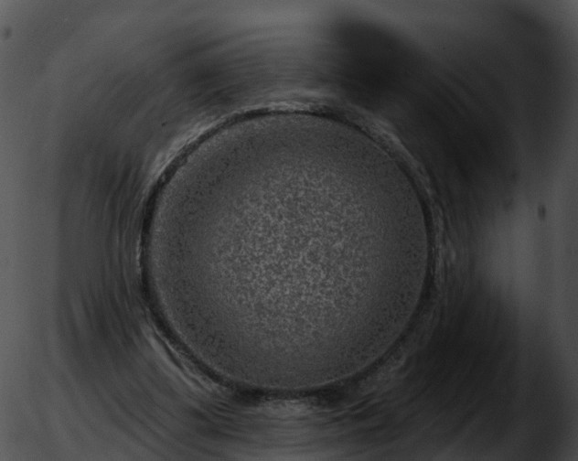 X0000051890299200507020102