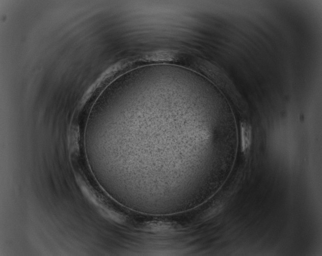 X0000051890300200507020102