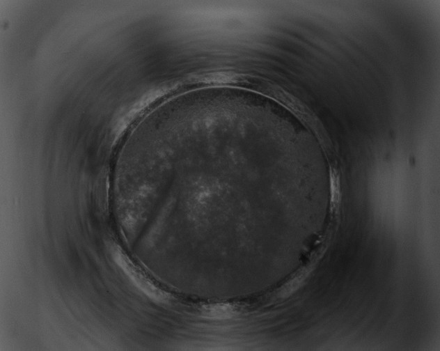 X0000051890301200507020102