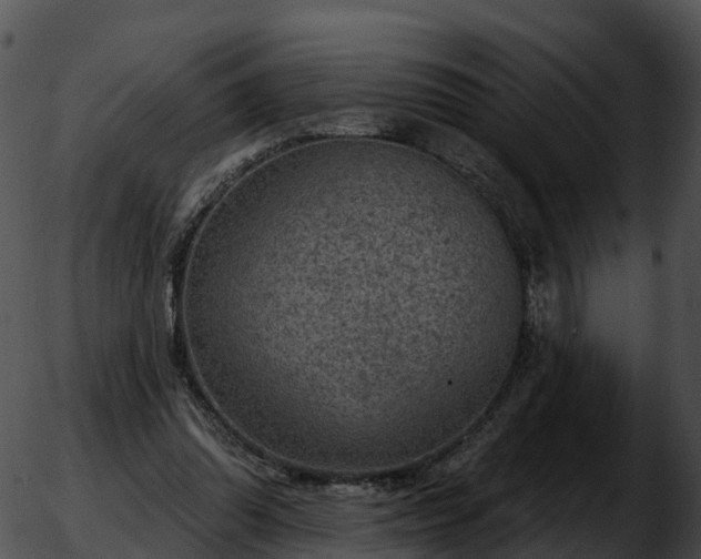 X0000051890302200507020102