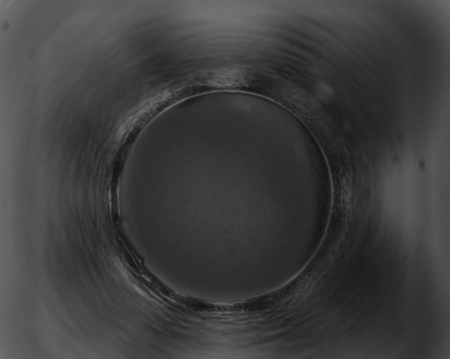 X0000051890303200507020102