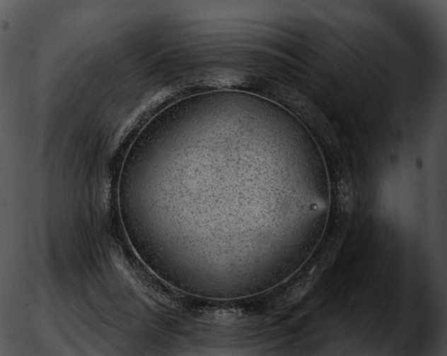 X0000051890304200507020102