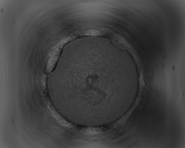 X0000051890305200507020102