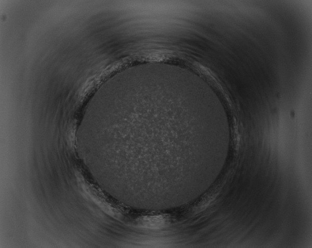 X0000051890307200507020102