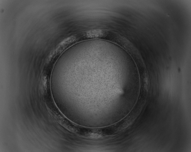 X0000051890308200507020102