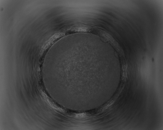 X0000051890309200507020102