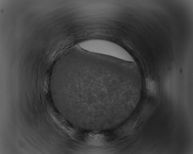 X0000051890311200507020102