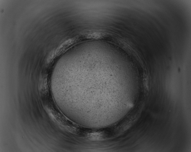 X0000051890312200507020102