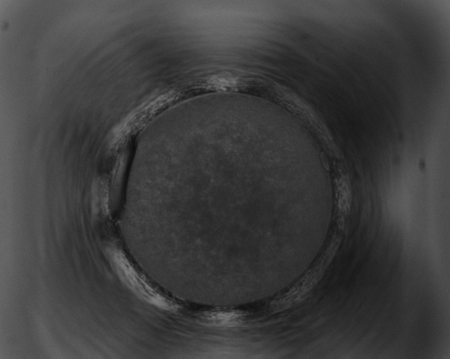 X0000051890313200507020102