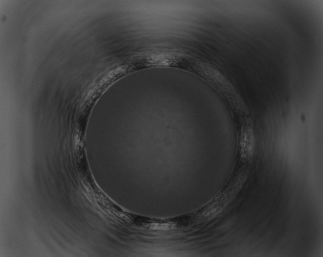 X0000051890314200507020102