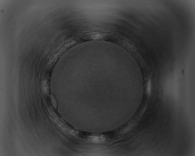 X0000051890317200507020102