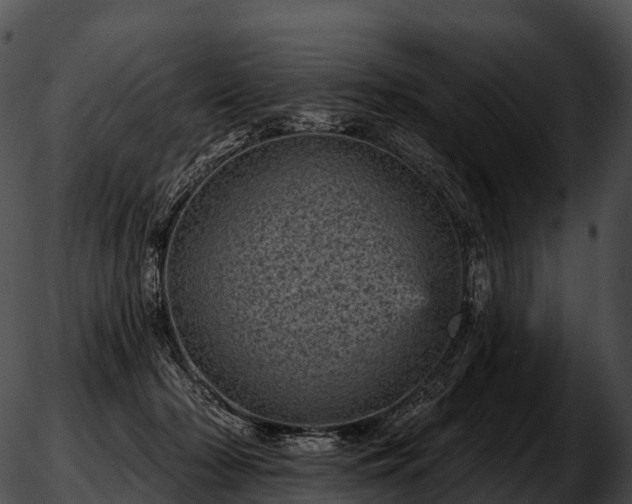 X0000051890318200507020102