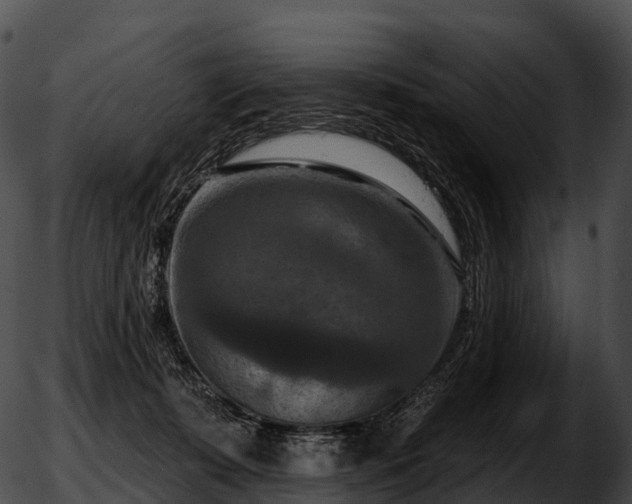 X0000051890319200507020102