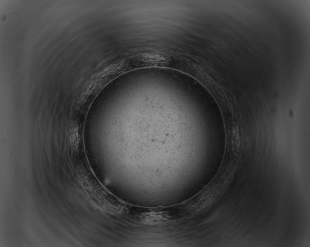 X0000051890320200507020102