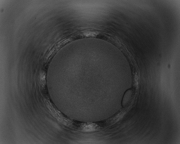 X0000051890321200507020102