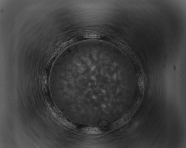 X0000051890322200507020102