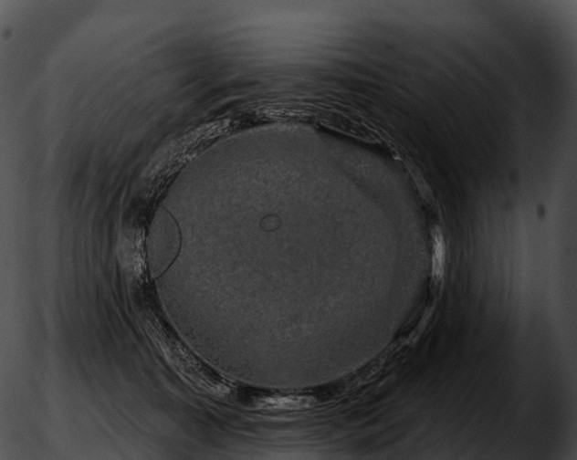 X0000051890323200507020102