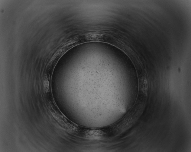 X0000051890324200507020102