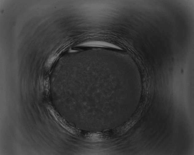 X0000051890325200507020102