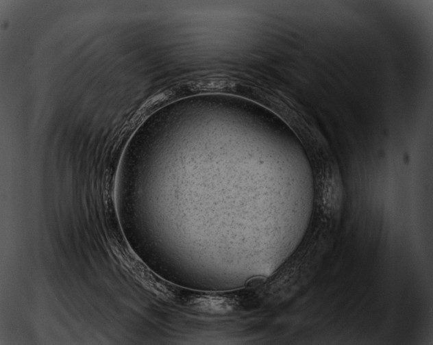 X0000051890326200507020102