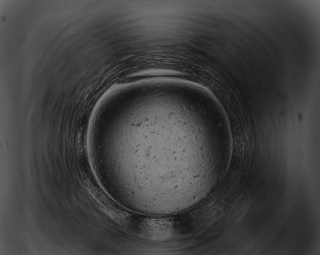 X0000051890327200507020102